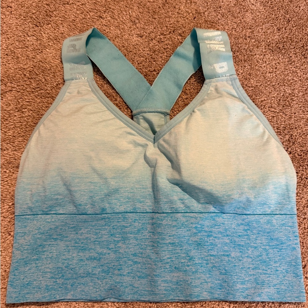 PINK Sport Blue Ombre Sports Bra